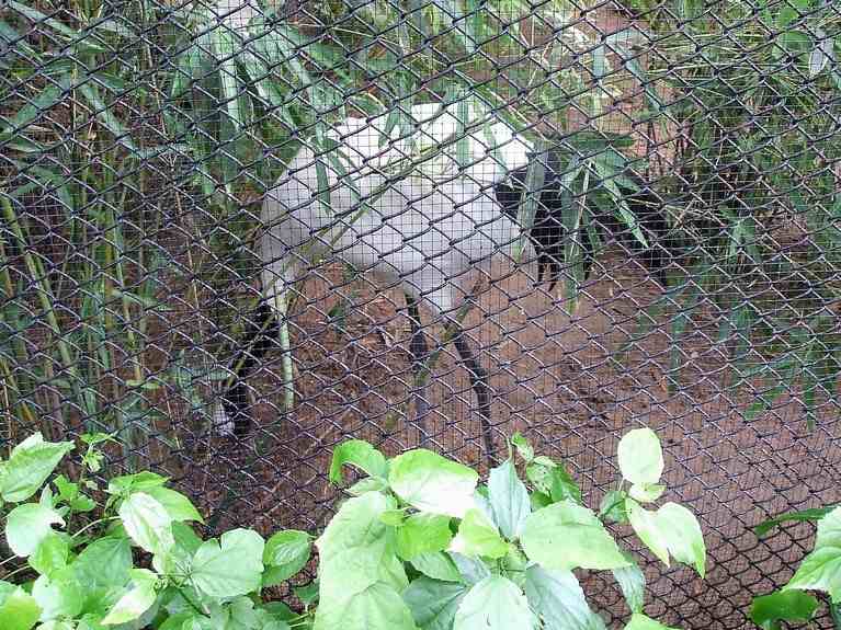 n_HongKong mei 2008 021.jpg